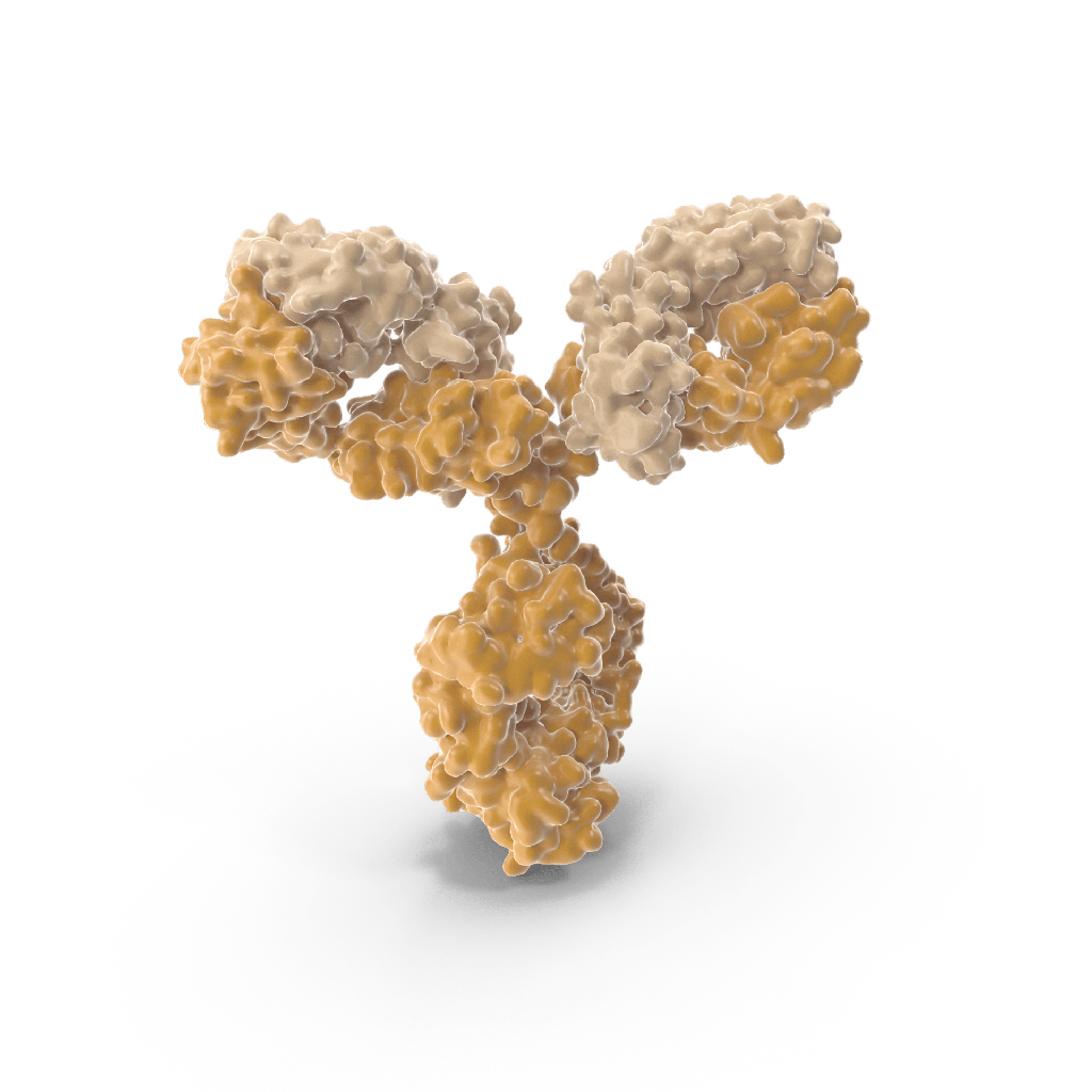 Mouse Anti-Benzopyrene monoclonal antibody, clone BaP